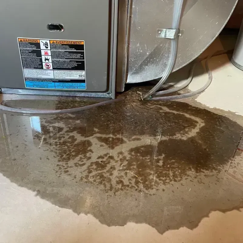 Appliance Leak Cleanup in Country Club Hills, IL